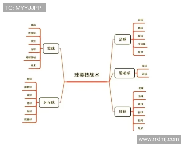 从零起步:全面解析排球团队协作技巧与实战策略 从零起步:全面解析排球团队协作技巧与实战策略