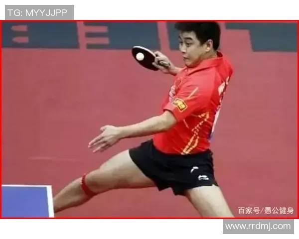 西安羽毛球队反击之路的得失与启示分析 西安羽毛球队反击之路的得失与启示分析